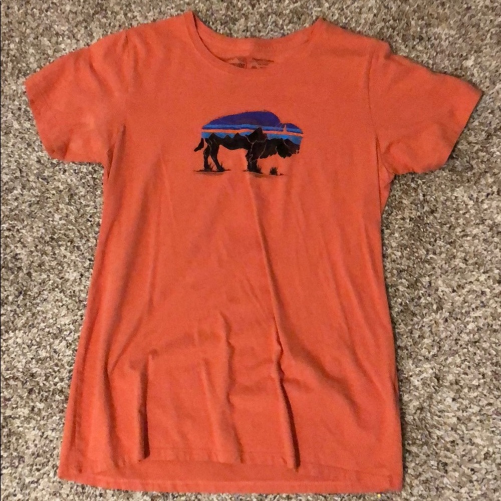 Patagonia T-shirt